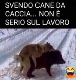 FB_IMG_1632387404717.jpg