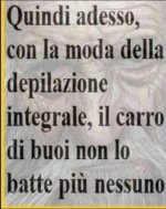 FB_IMG_1632464336165.jpg