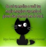 FB_IMG_1632643836784.jpg