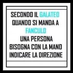 FB_IMG_1632761159051.jpg