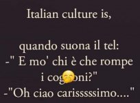 FB_IMG_1632731439019.jpg