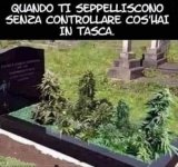 FB_IMG_1632828076518.jpg
