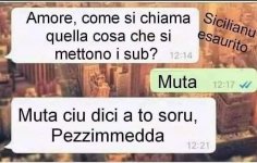FB_IMG_1632827453029.jpg