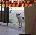 FB_IMG_1632916934666.jpg