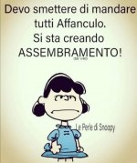FB_IMG_1632916557739.jpg