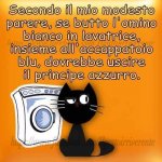 FB_IMG_1633005215703.jpg