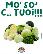 FB_IMG_1632977985257.jpg