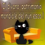 FB_IMG_1633080547286.jpg