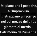 FB_IMG_1633079780592.jpg