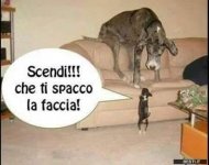 FB_IMG_1633070352614.jpg