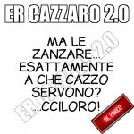 FB_IMG_1633156609696.jpg