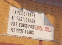 07.jpg