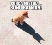 FB_IMG_1633447336630.jpg