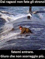 FB_IMG_1633536484804.jpg