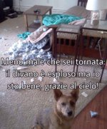 FB_IMG_1633519219494.jpg
