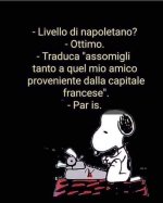 FB_IMG_1633791695681.jpg