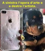 FB_IMG_1633879250696.jpg