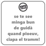 FB_IMG_1633933711715.jpg