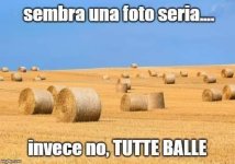 FB_IMG_1634043798569.jpg