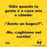 FB_IMG_1634043193931.jpg