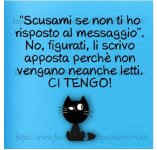FB_IMG_1634043175757.jpg
