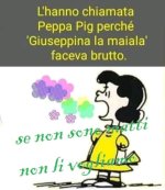 FB_IMG_1634129705572.jpg