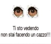 FB_IMG_1634129693959.jpg