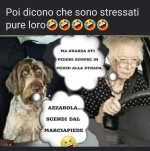 FB_IMG_1634216607125.jpg