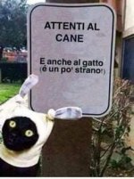 FB_IMG_1634206419454.jpg