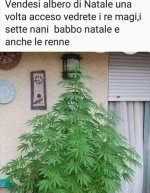 FB_IMG_1634205893522.jpg