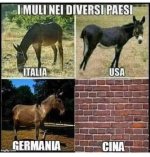 FB_IMG_1634122095548.jpg