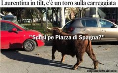 FB_IMG_1634121546337.jpg