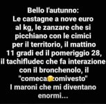FB_IMG_1634020653794.jpg