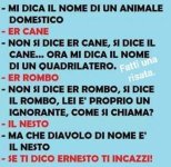 FB_IMG_1634465378162.jpg