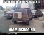 FB_IMG_1634638756343.jpg