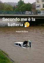 FB_IMG_1634727704655.jpg