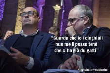 FB_IMG_1634727696511.jpg