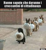 FB_IMG_1634711674133.jpg