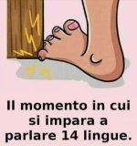 FB_IMG_1634711539863.jpg