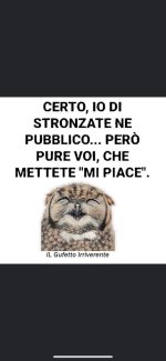 FB_IMG_1634833607654.jpg