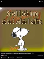 FB_IMG_1634916175918.jpg