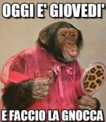 FB_IMG_1634904909554.jpg