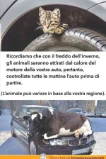 FB_IMG_1635068545828.jpg