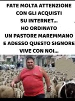 FB_IMG_1635068092085.jpg