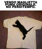 FB_IMG_1635165257399.jpg