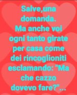 FB_IMG_1635263021123.jpg