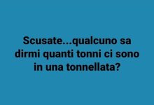 FB_IMG_1635252779102.jpg
