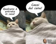 FB_IMG_1634976446891.jpg