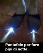 FB_IMG_1635345184033.jpg
