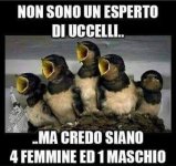FB_IMG_1635345126450.jpg